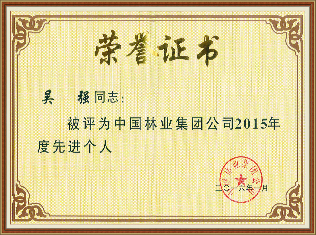 中國林業集團公司2015年度先進個人